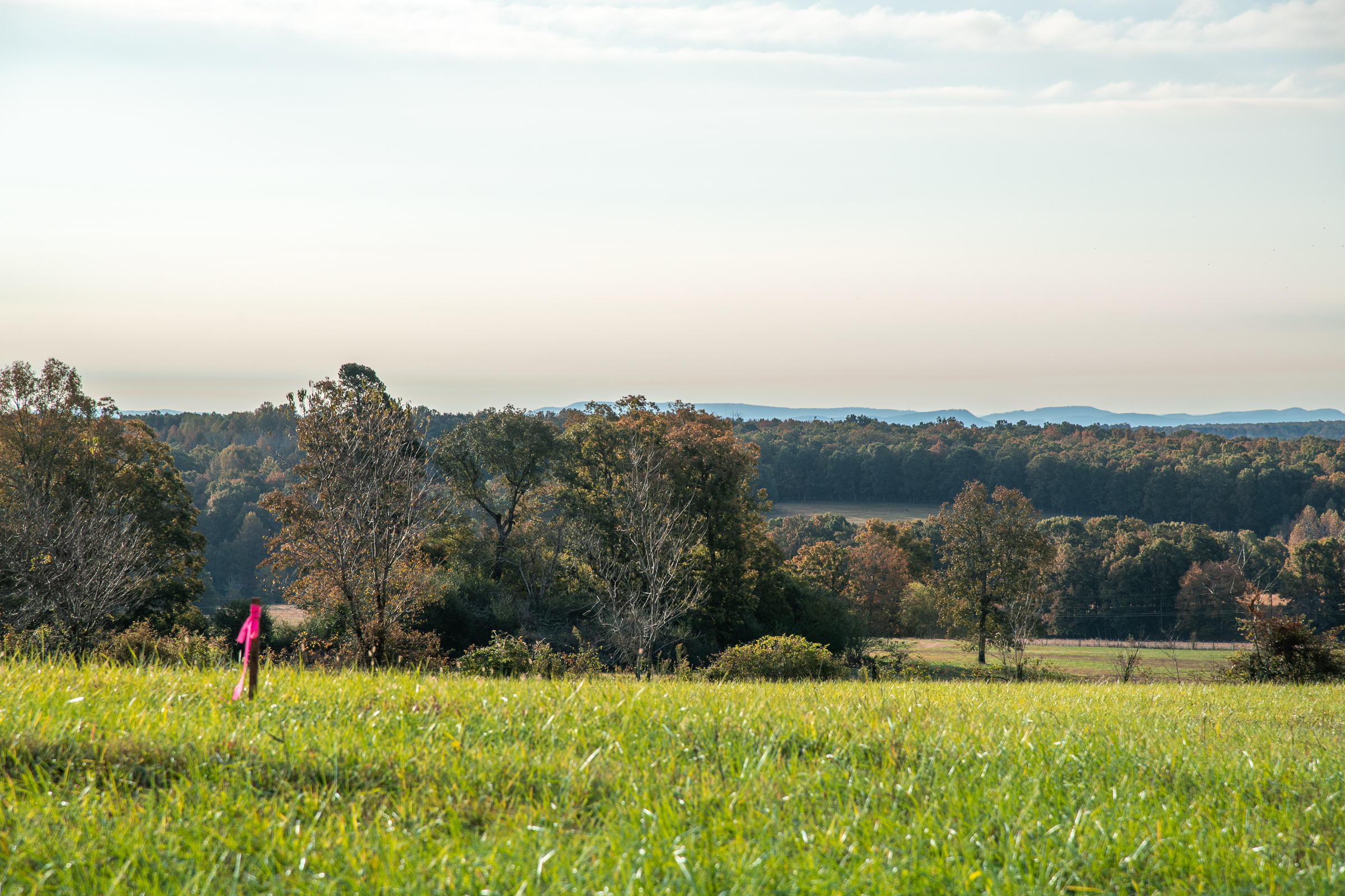 Lot 1 Dougherty Gap Road Chickamauga, GA 30707 - Photo 10 of 17 BluffView-10