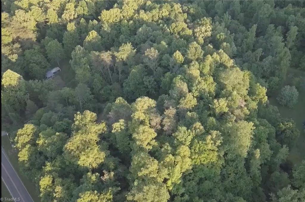 0 Puckett Road Westfield, NC 27053 - Photo 6 of 7