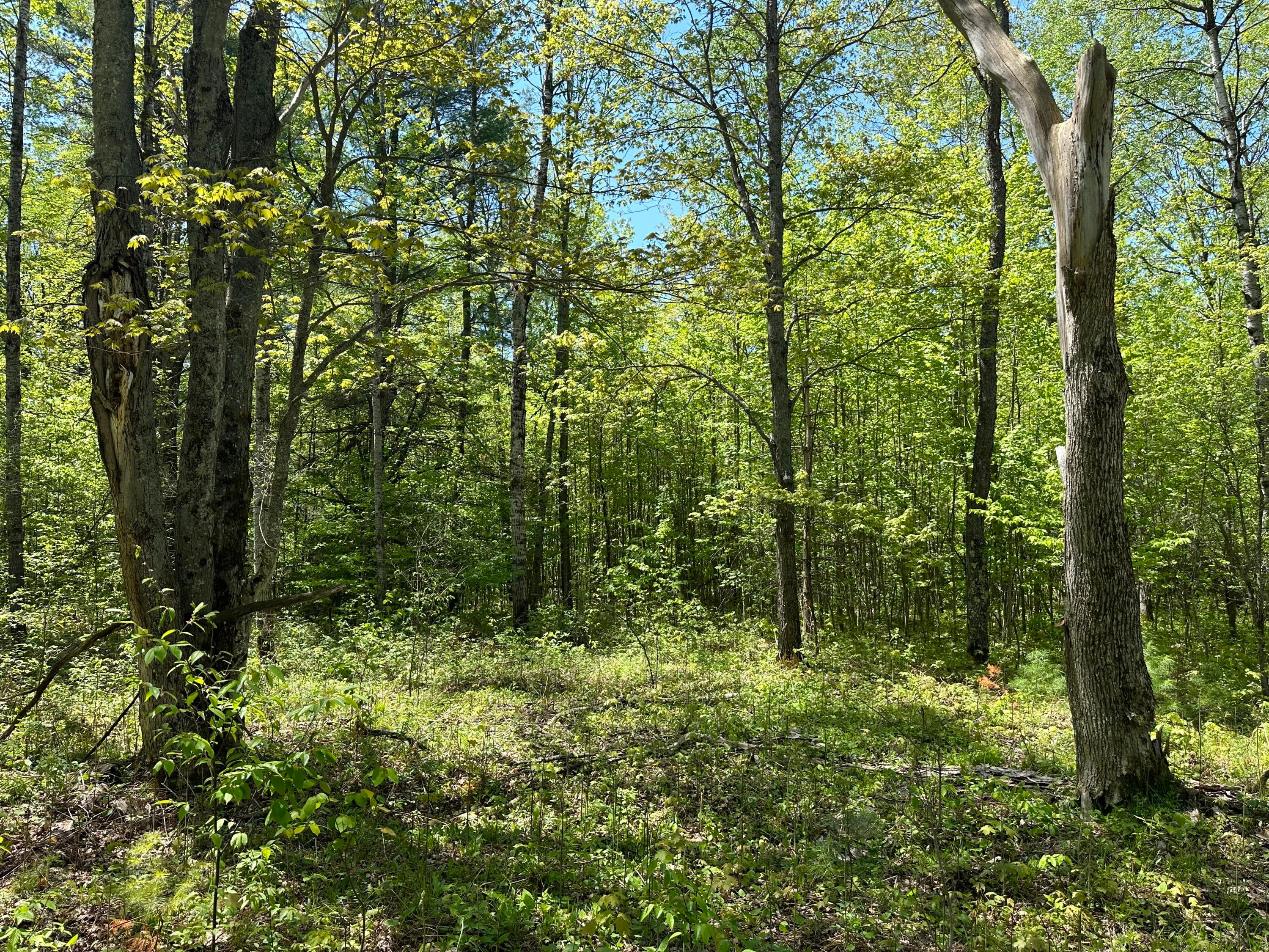 6424 North Sherman Road Frederic, MI 49733 - Photo 17 of 20 Gallery Image 17