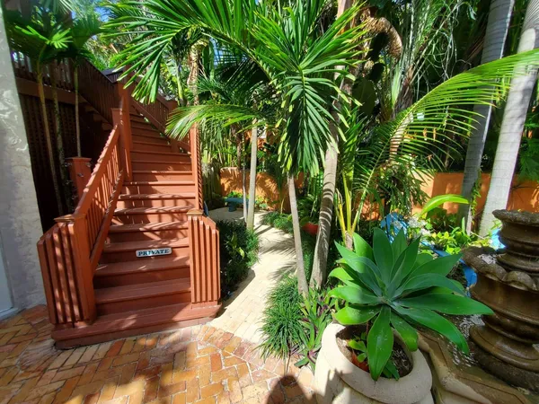 a view of a potted plants next to a yard