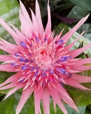 a view of a chairs and table in the patio