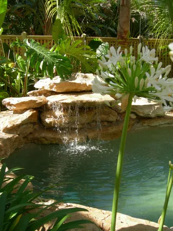 a potted plant sitting in front of a house with plants
