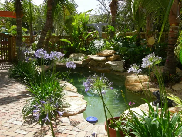 a bunch of flowers in a garden