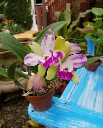 a view of an ocean beach