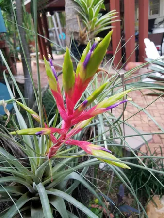 $2,700 | 226 Northeast 1st Avenue, Unit KEY LIME SUITE, Delray Beach, FL 33444