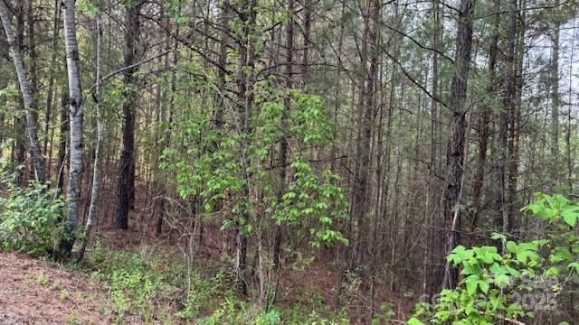 0 High Mdws Lane Rutherfordton, NC 28139 - Photo 3 of 8 a backyard of a house with lots of green space and trees