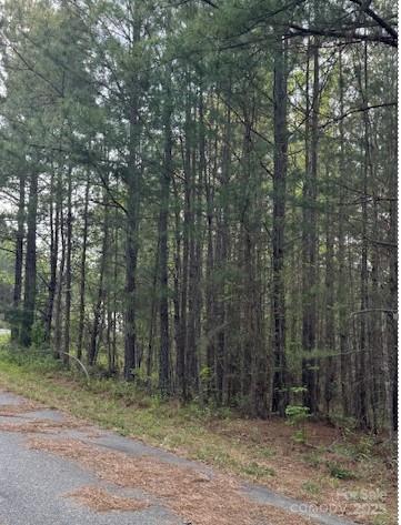 0 High Mdws Lane Rutherfordton, NC 28139 - Photo 4 of 8 a view of outdoor space and trees