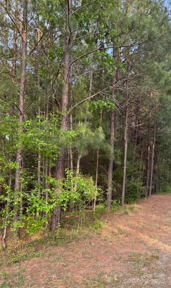 0 High Mdws Lane Rutherfordton, NC 28139 - Photo 5 of 8 a backyard of a house with lots of green space