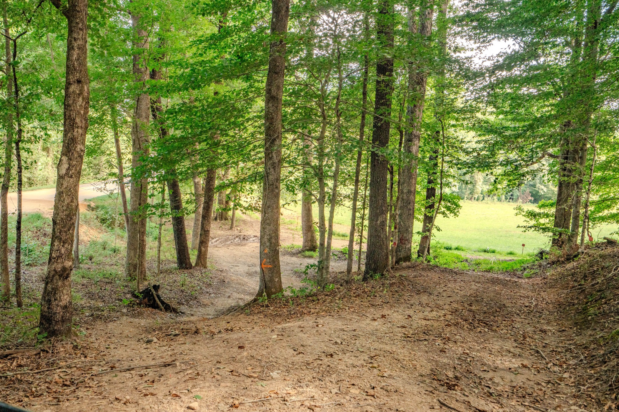 9270 Last Butler Creek Road Iron City, TN 38463 - Photo 29 of 86 Gallery Image 29