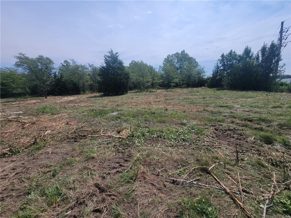 Jefferson Street Blue Springs, MO 64014 - Photo 11 of 14