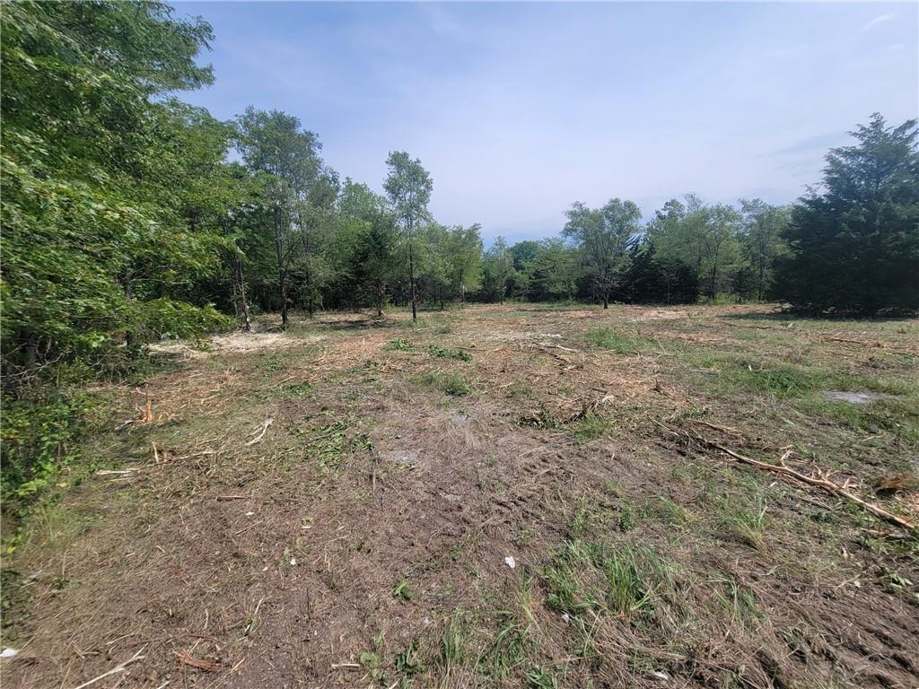 Jefferson Street Blue Springs, MO 64014 - Photo 12 of 14