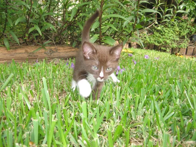 $339,000 | 5980 Shore Boulevard South, Unit 111, Gulfport, FL 33707