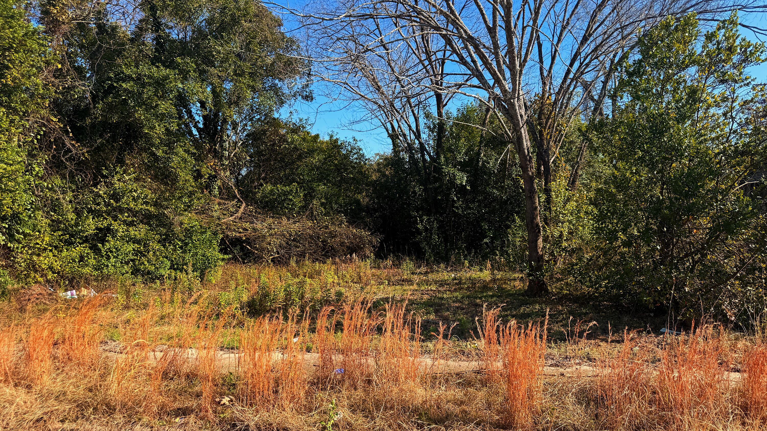1542 Chestnut Street Augusta, GA 30901 - Photo 1 of 1 Primary Listing Photo