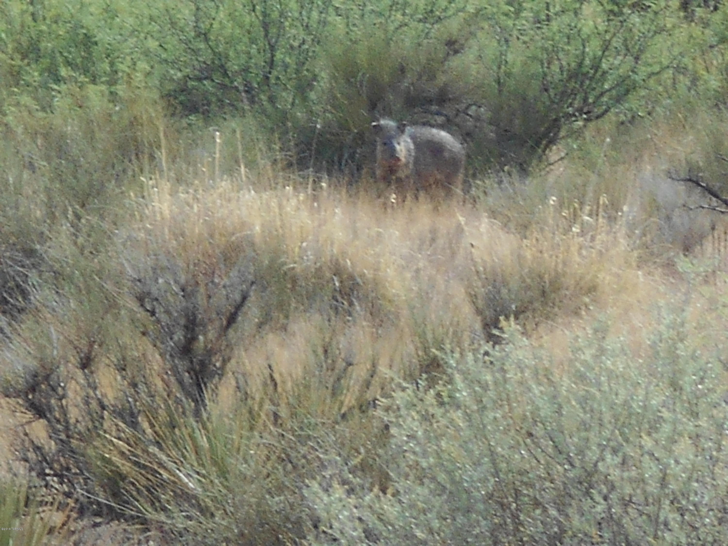 40 East Duke Ranch Road Pearce, AZ 85625 - Photo 6 of 7