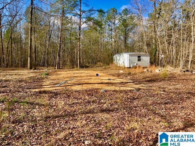 241 Valley Creek Road Piedmont, AL 36272 - Photo 11 of 13
