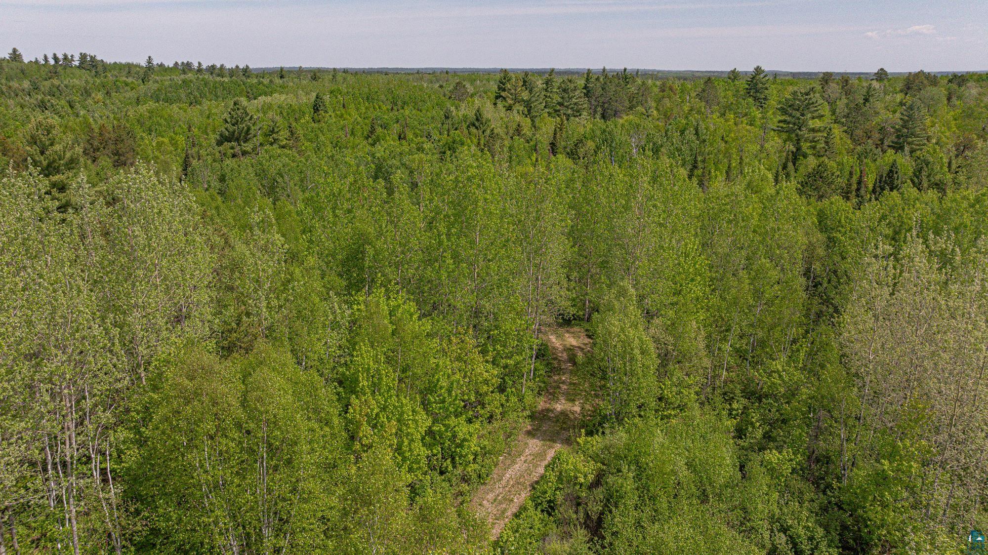 Tbd Tbd Muckwa Lake Road Babbitt, MN 55706 - Photo 44 of 54