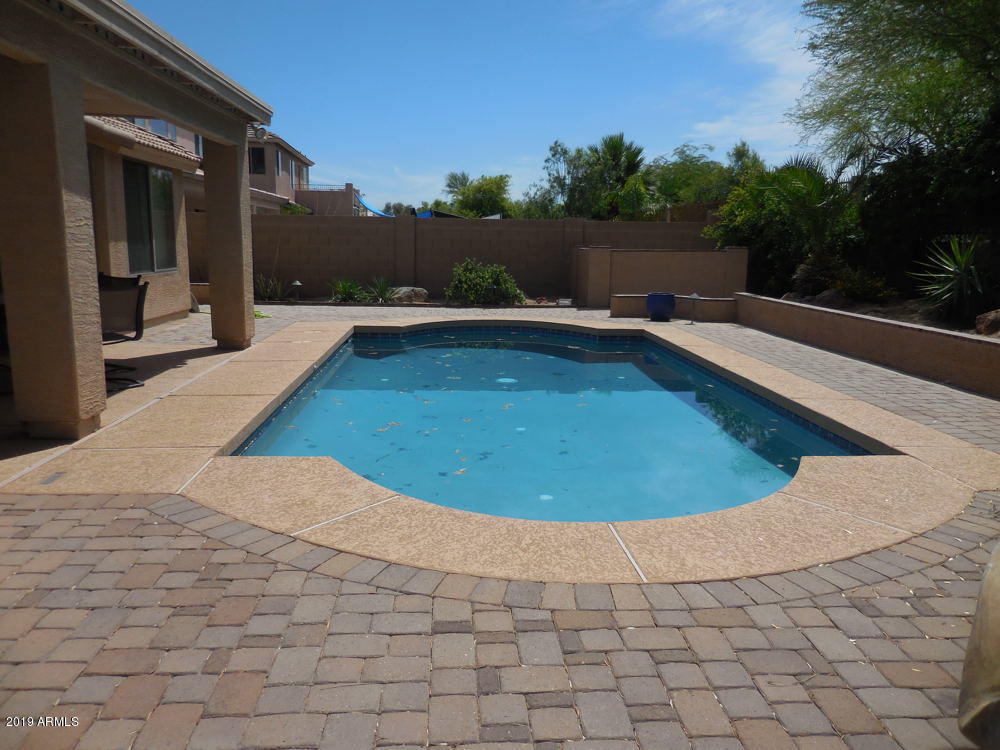 1629 East Beverly Road Phoenix, AZ 85042 - Photo 17 of 18 pool4