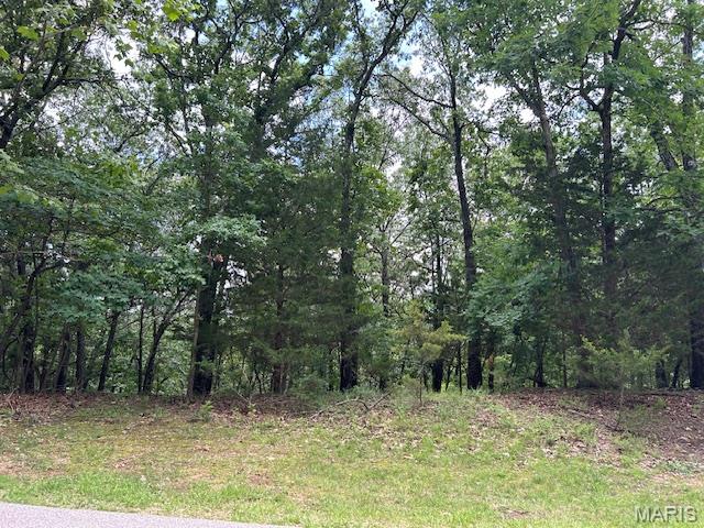 817 Wildflower Valley Road High Ridge, MO 63049 - Photo 4 of 8
