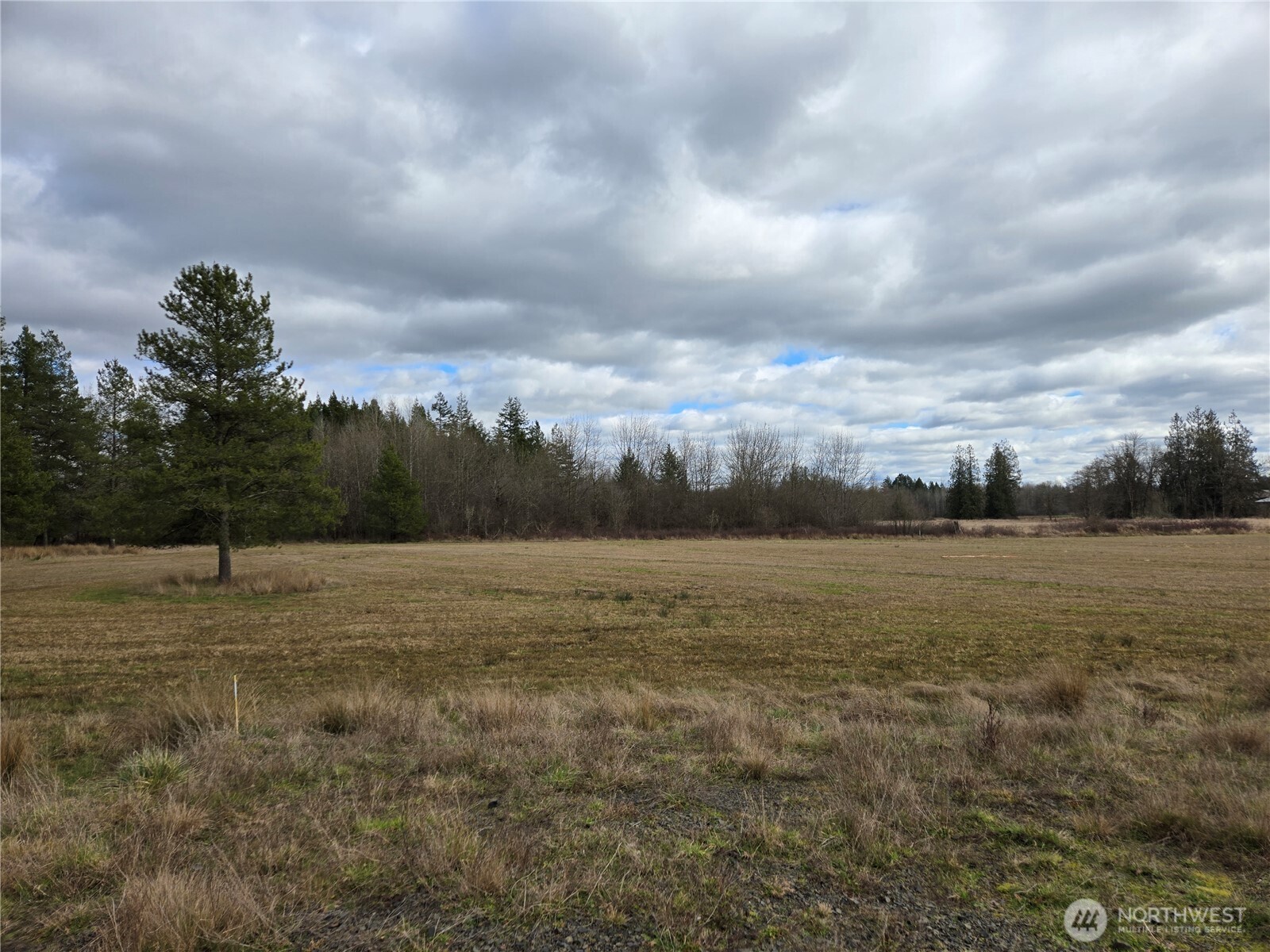 22 X Nicholson Road Ethel, WA 98542 - Photo 11 of 40