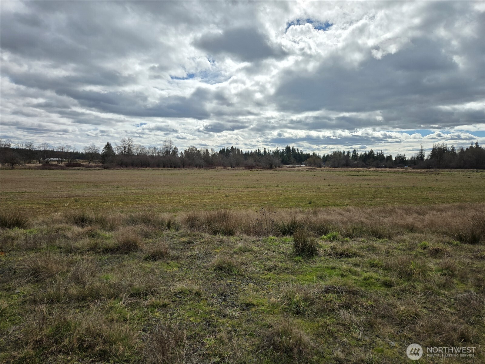 22 X Nicholson Road Ethel, WA 98542 - Photo 13 of 40