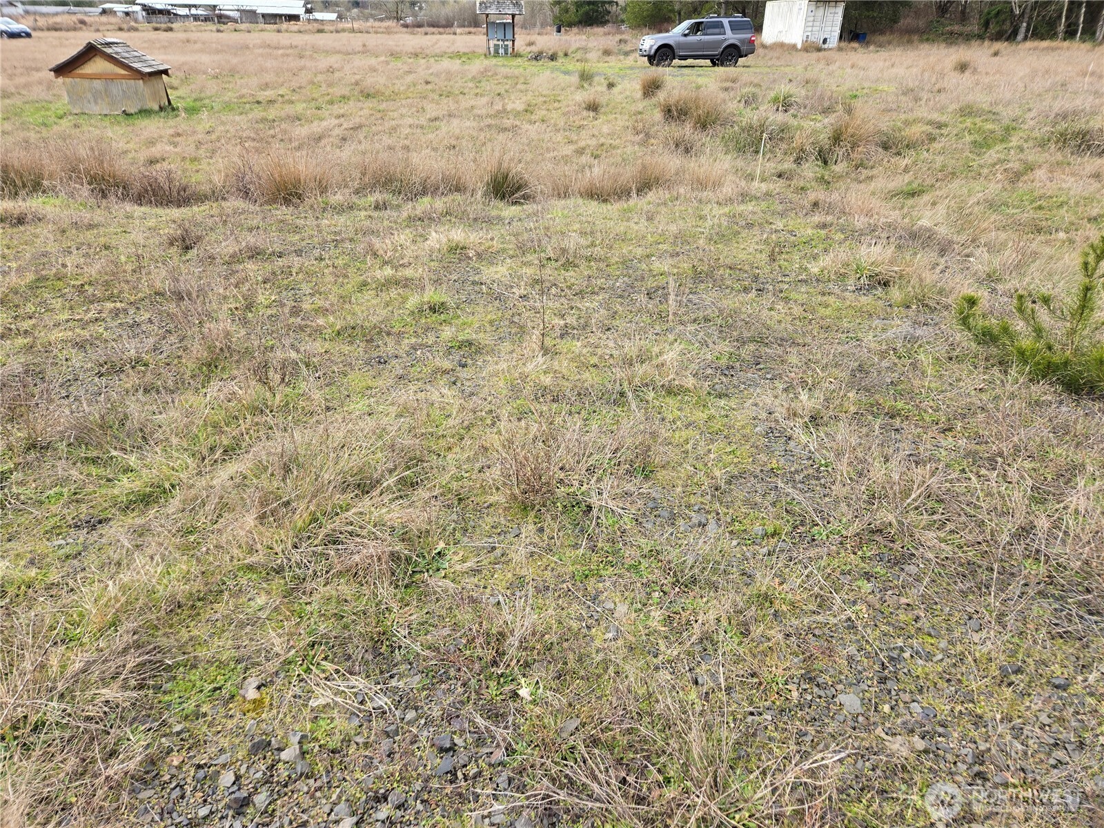 22 X Nicholson Road Ethel, WA 98542 - Photo 16 of 40