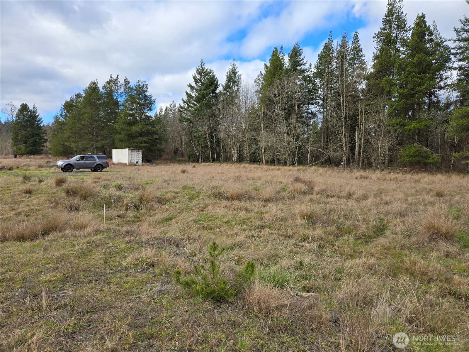 22 X Nicholson Road Ethel, WA 98542 - Photo 17 of 40