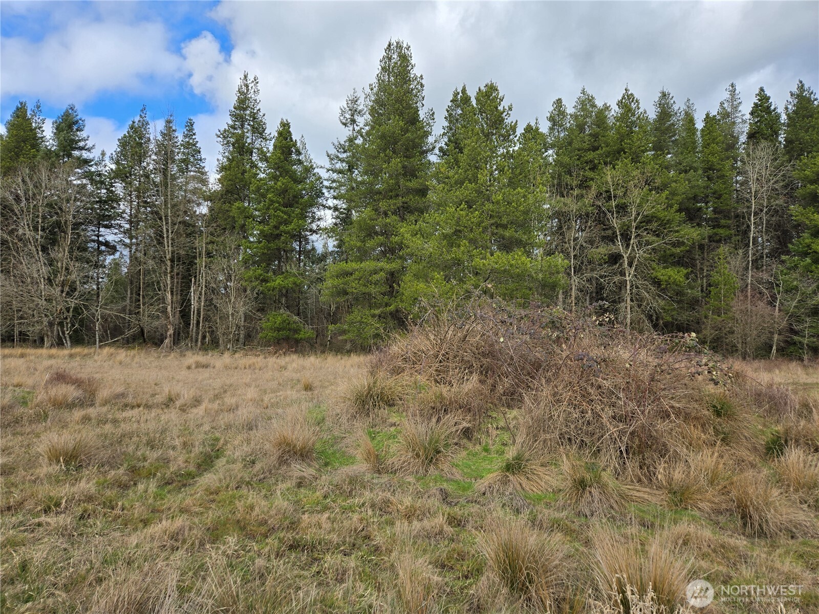 22 X Nicholson Road Ethel, WA 98542 - Photo 18 of 40