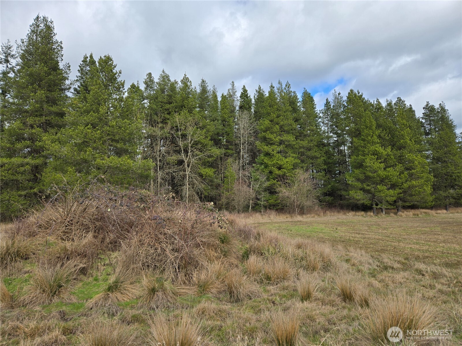 22 X Nicholson Road Ethel, WA 98542 - Photo 19 of 40