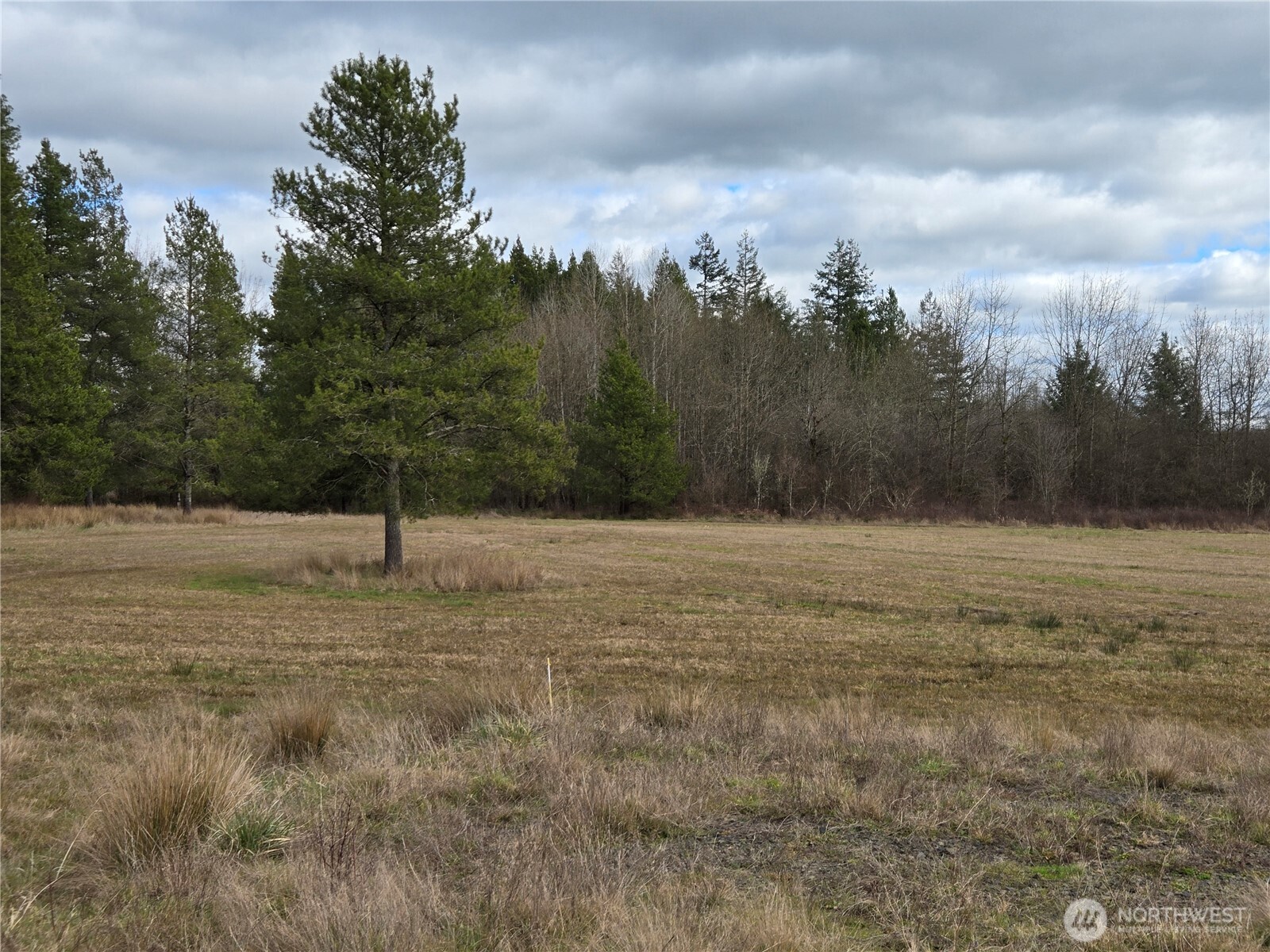 22 X Nicholson Road Ethel, WA 98542 - Photo 20 of 40