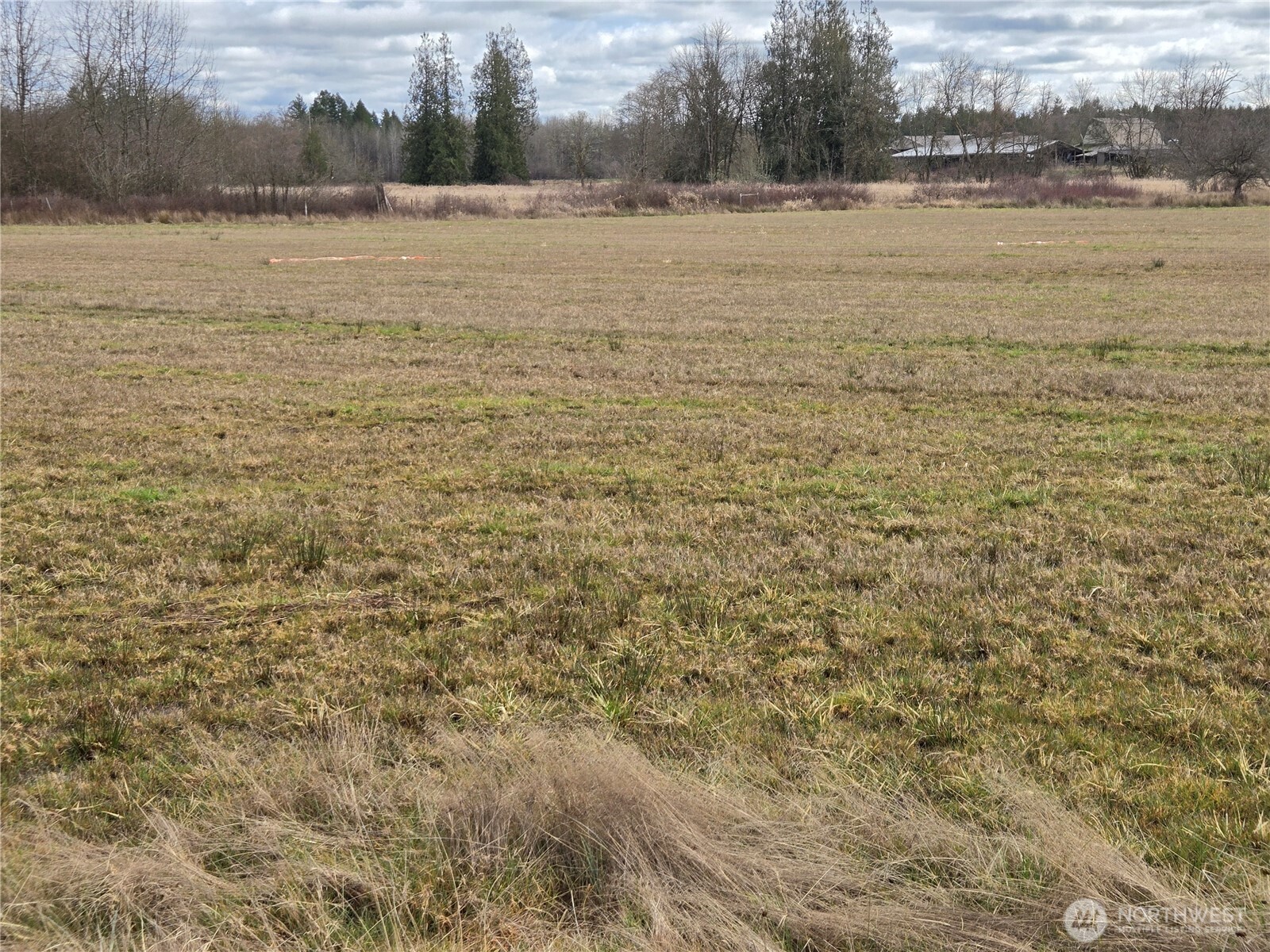 22 X Nicholson Road Ethel, WA 98542 - Photo 21 of 40