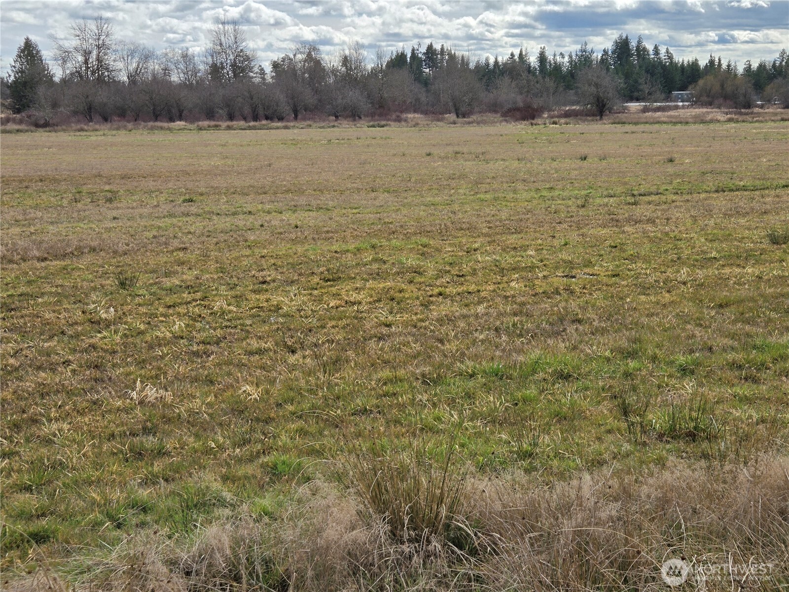22 X Nicholson Road Ethel, WA 98542 - Photo 22 of 40