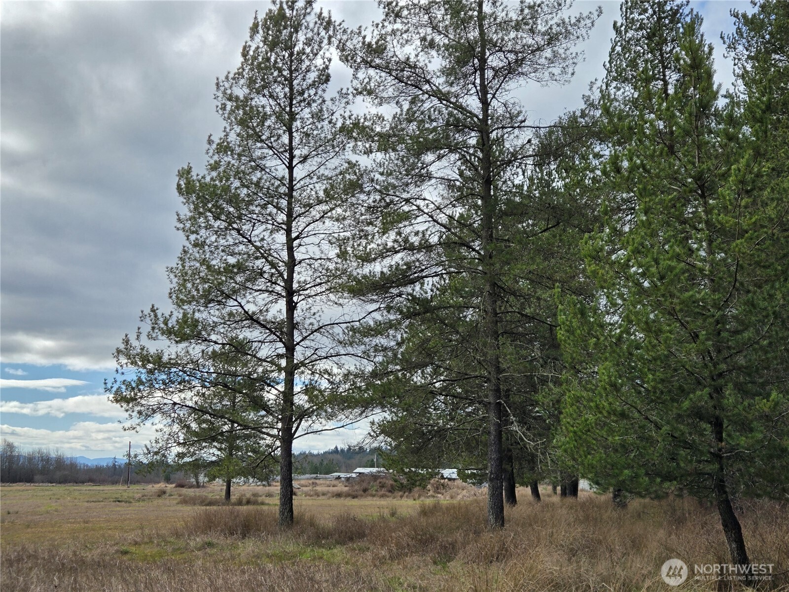 22 X Nicholson Road Ethel, WA 98542 - Photo 27 of 40