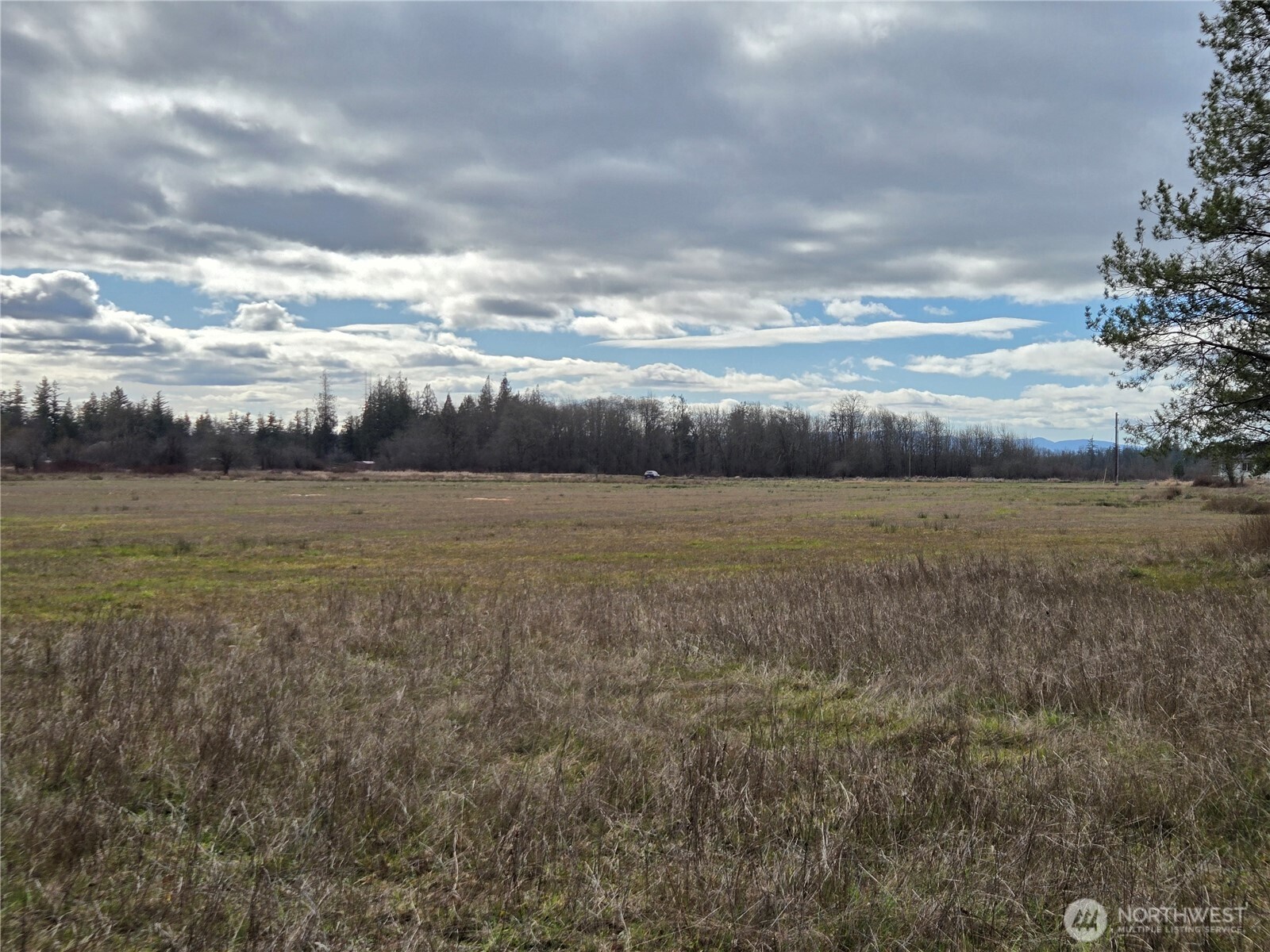 22 X Nicholson Road Ethel, WA 98542 - Photo 28 of 40