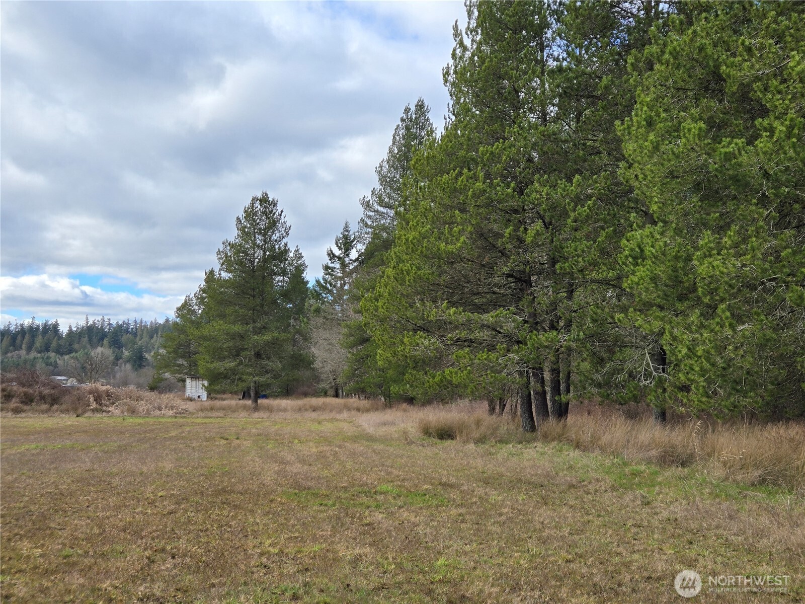 22 X Nicholson Road Ethel, WA 98542 - Photo 29 of 40