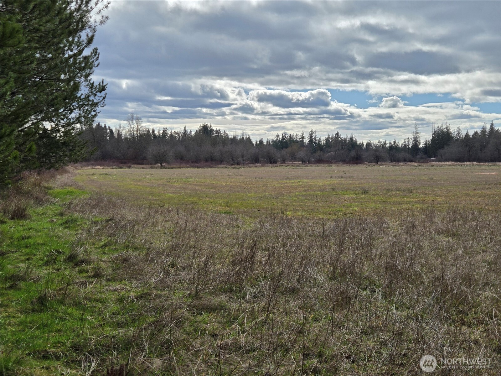 22 X Nicholson Road Ethel, WA 98542 - Photo 30 of 40