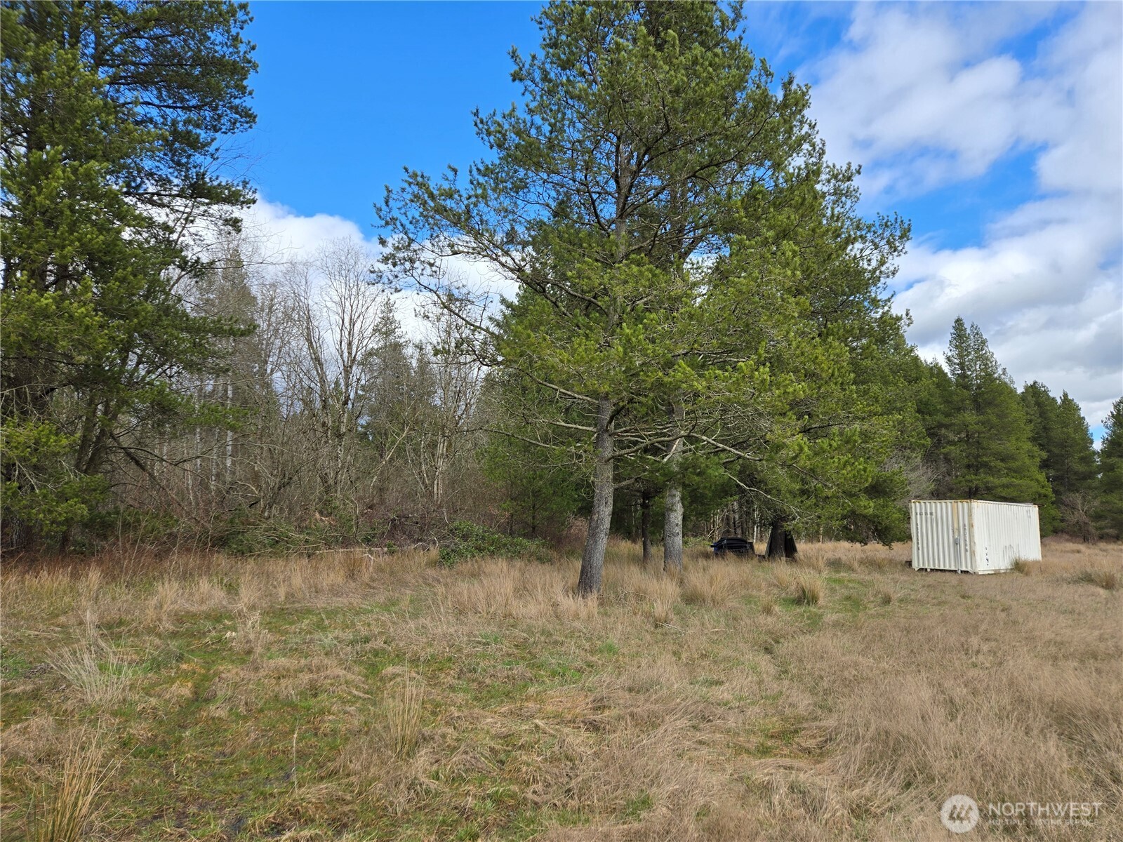 22 X Nicholson Road Ethel, WA 98542 - Photo 31 of 40