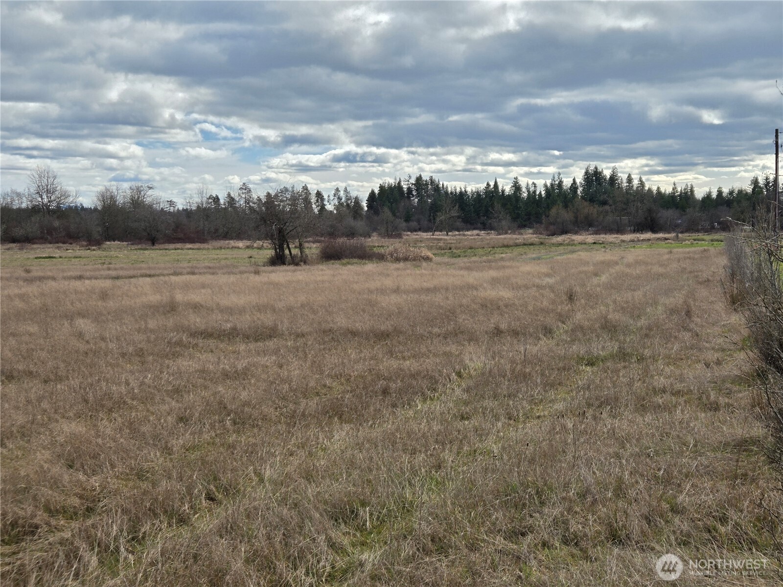 22 X Nicholson Road Ethel, WA 98542 - Photo 36 of 40