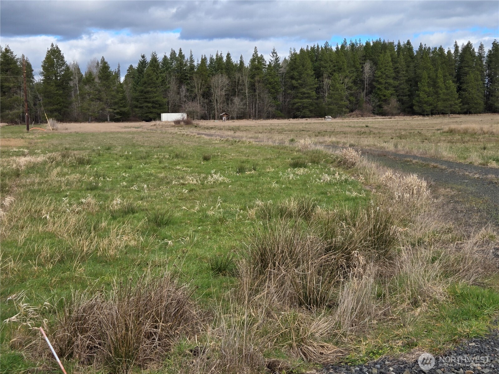 22 X Nicholson Road Ethel, WA 98542 - Photo 6 of 40