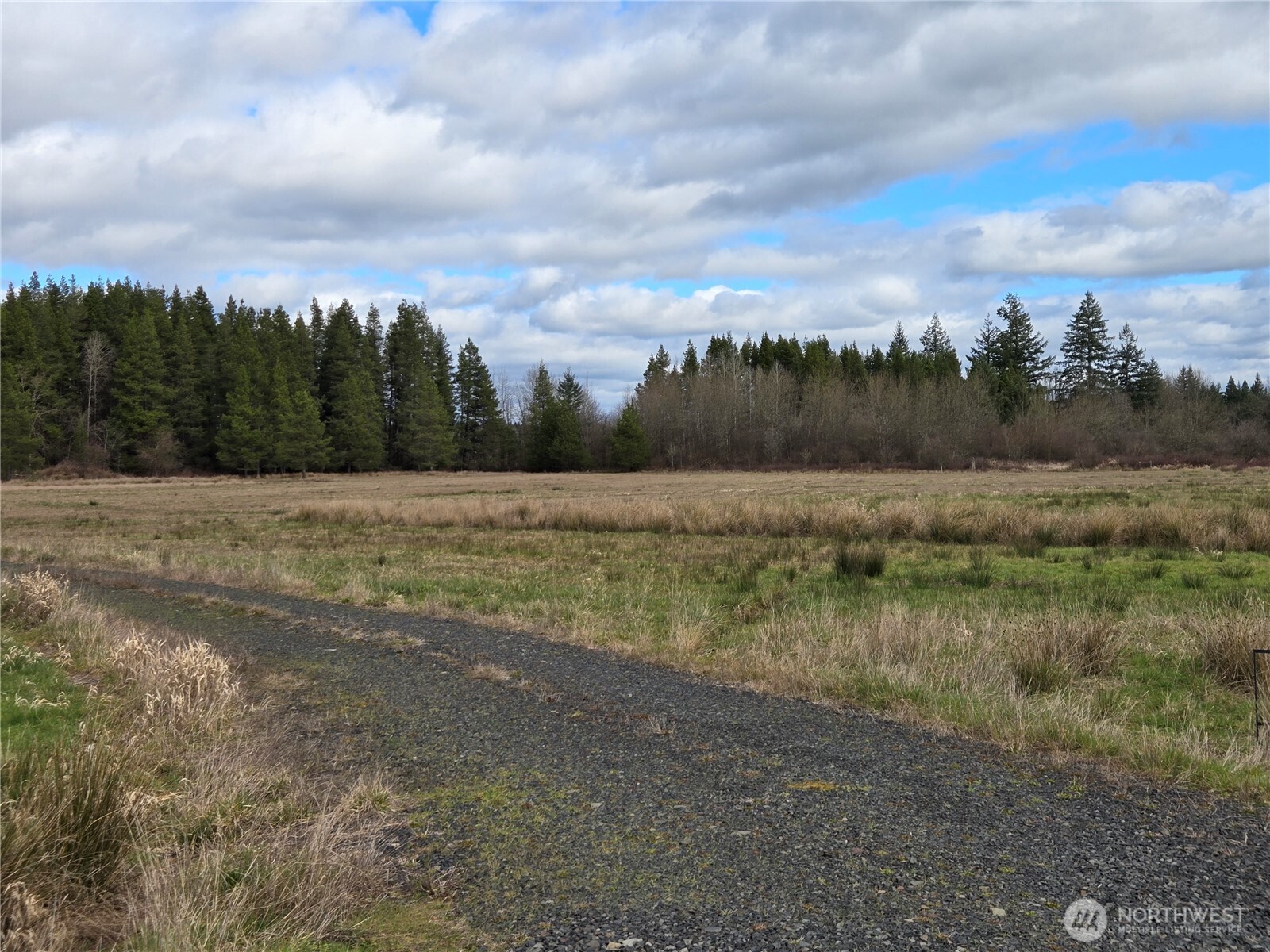 22 X Nicholson Road Ethel, WA 98542 - Photo 8 of 40