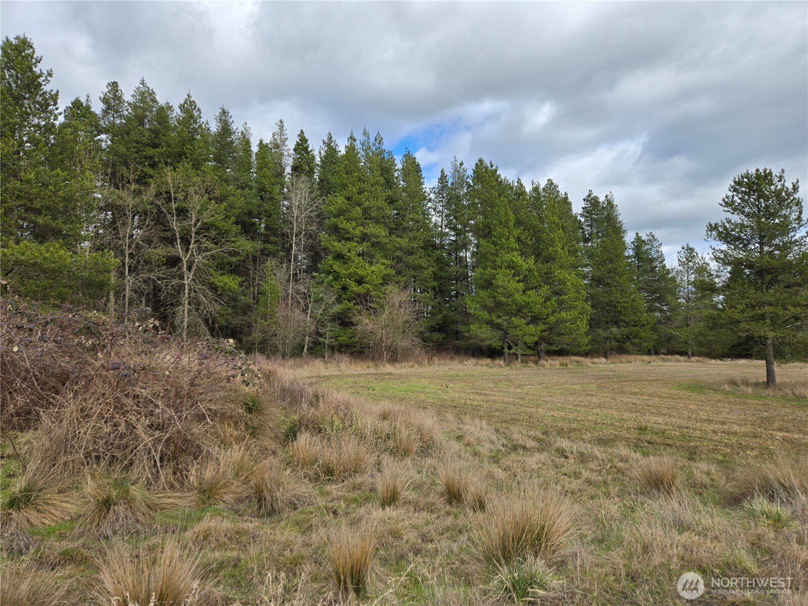 22 X Nicholson Road Ethel, WA 98542 - Photo 10 of 40
