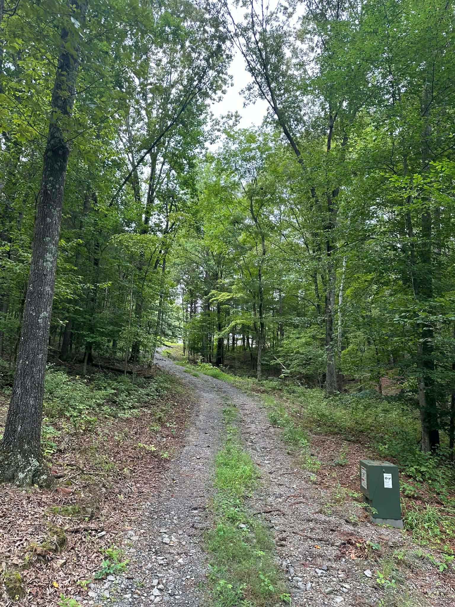 1425 Old Stage Road Charlotte, TN 37036 - Photo 2 of 4