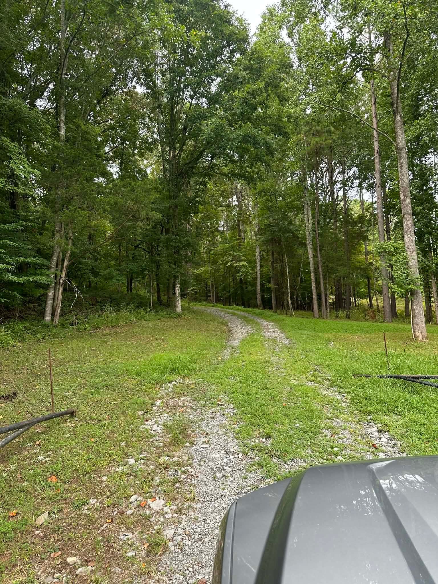 1425 Old Stage Road Charlotte, TN 37036 - Photo 4 of 4