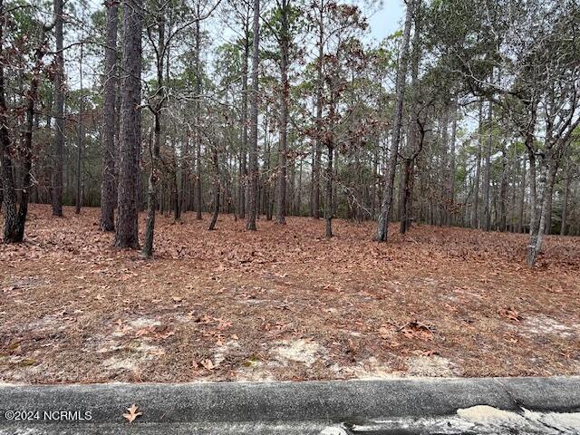 3004 Flora Ln Southeast  