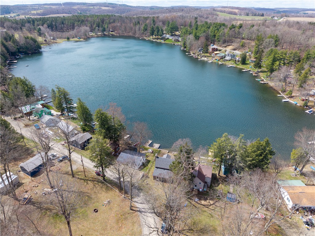9125 East Shore Road Bath, NY 14810 - Photo 40 of 42