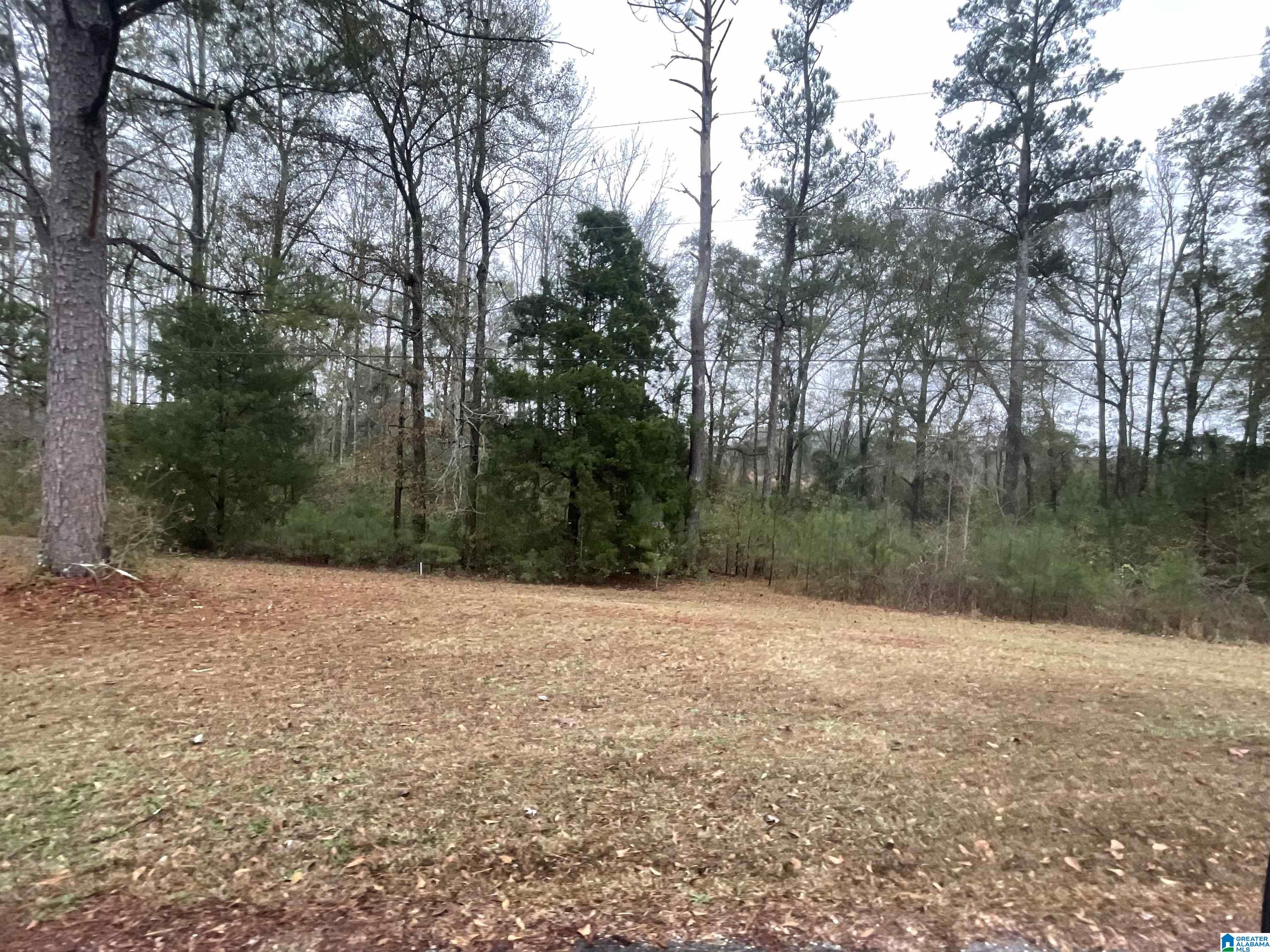 0 Friendship Circle Clanton, AL 35045 - Photo 2 of 4