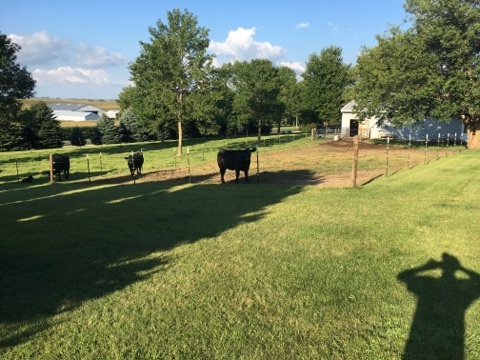 11449 Garden Plain Road Morrison, IL 61270 - Photo 23 of 23