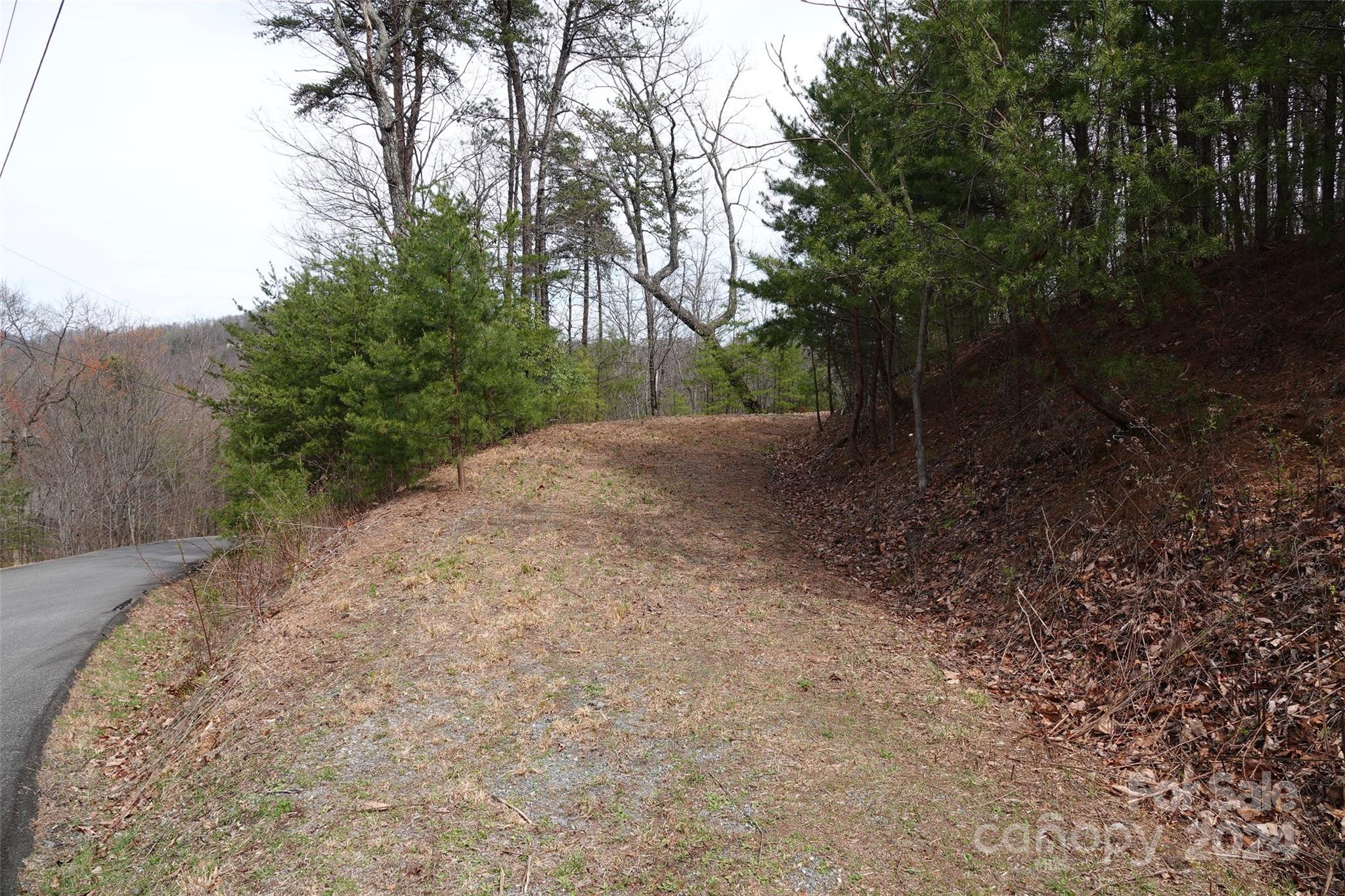 69 Arbra Mountain Road Bostic, NC 28018 - Photo 1 of 16 Gallery Image 1