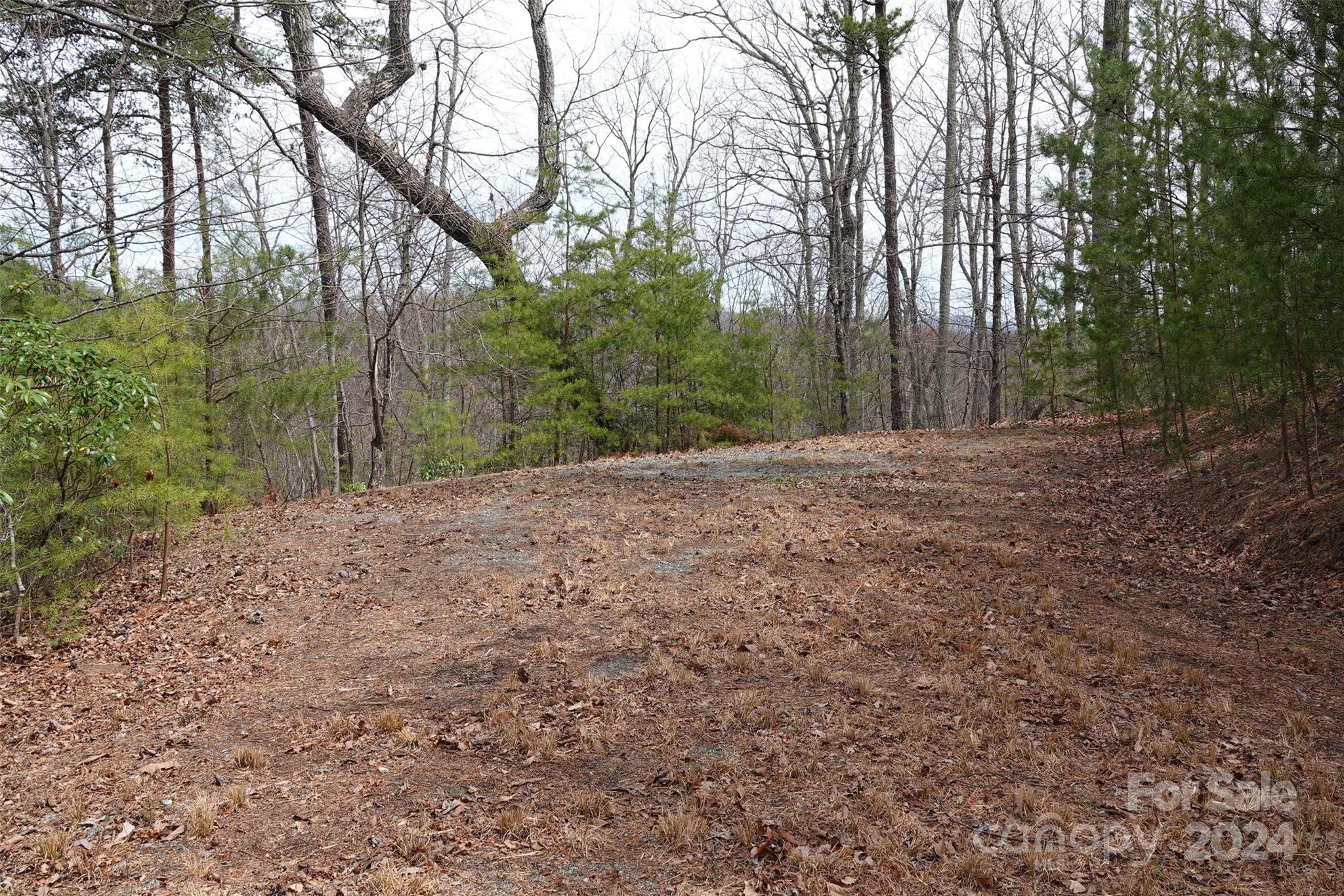 69 Arbra Mountain Road Bostic, NC 28018 - Photo 11 of 16 Gallery Image 11