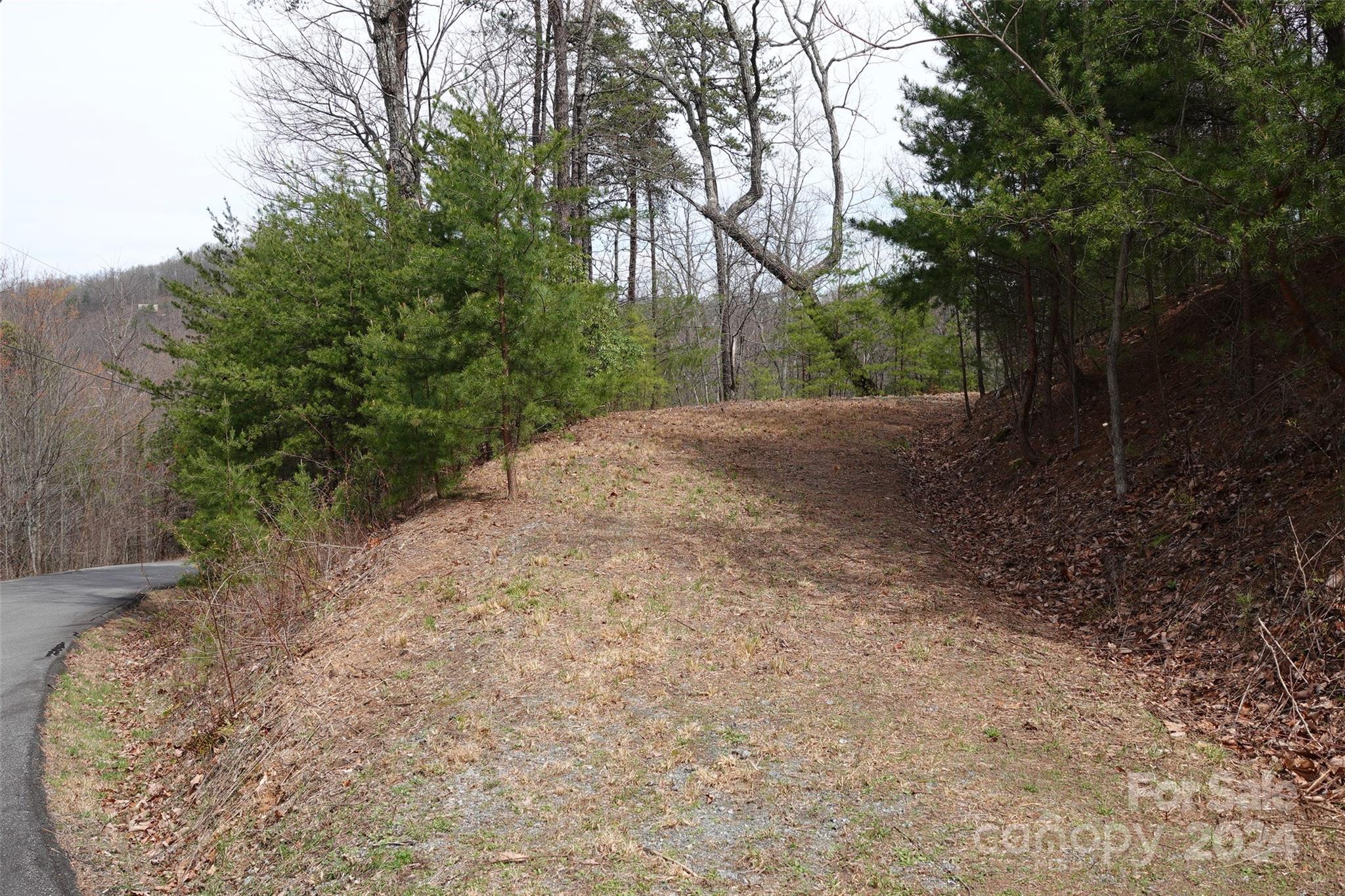69 Arbra Mountain Road Bostic, NC 28018 - Photo 12 of 16 Gallery Image 12