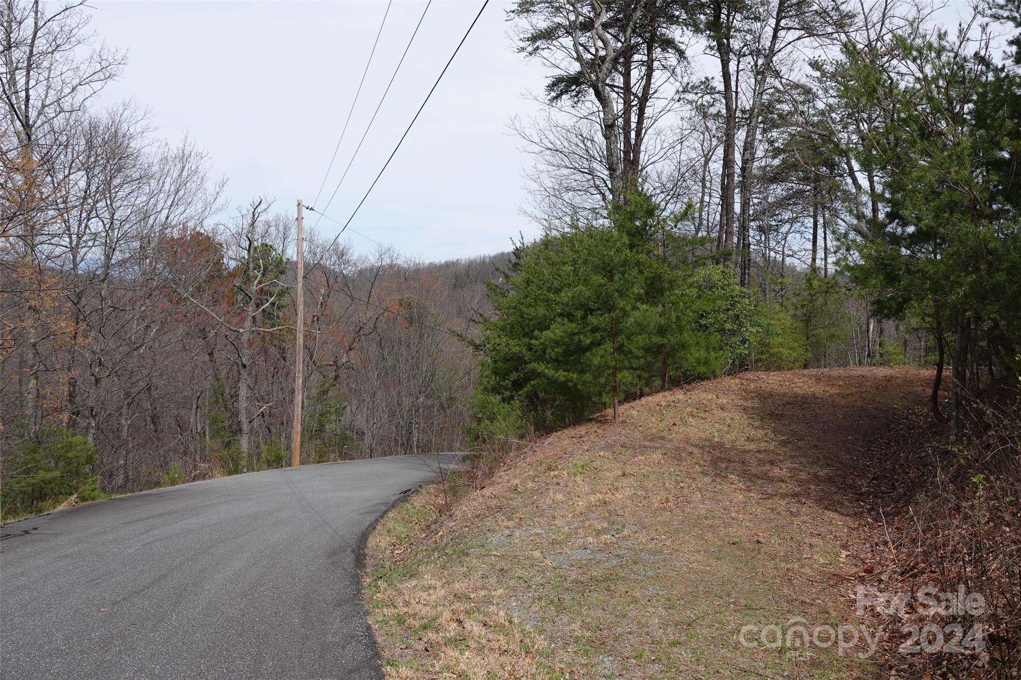69 Arbra Mountain Road Bostic, NC 28018 - Photo 13 of 16 Gallery Image 13